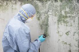 Reliable Vacaville, CA Mold Removal Services Solutions